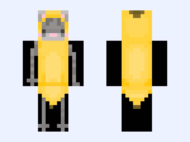 cat Minecraft skin, classic model, front and back view