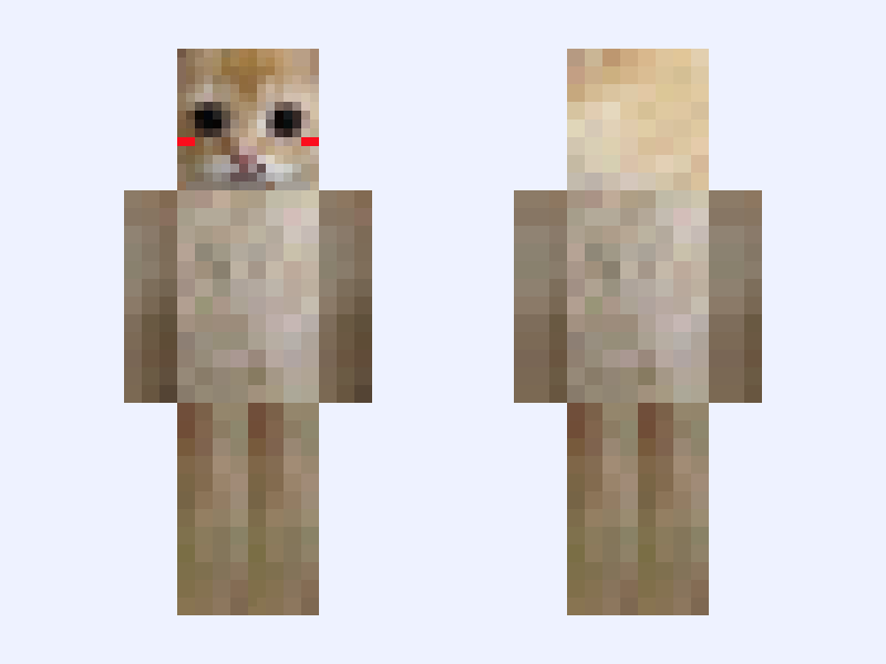 Im happy (Lil bro) Minecraft skin, slim model, front and back view